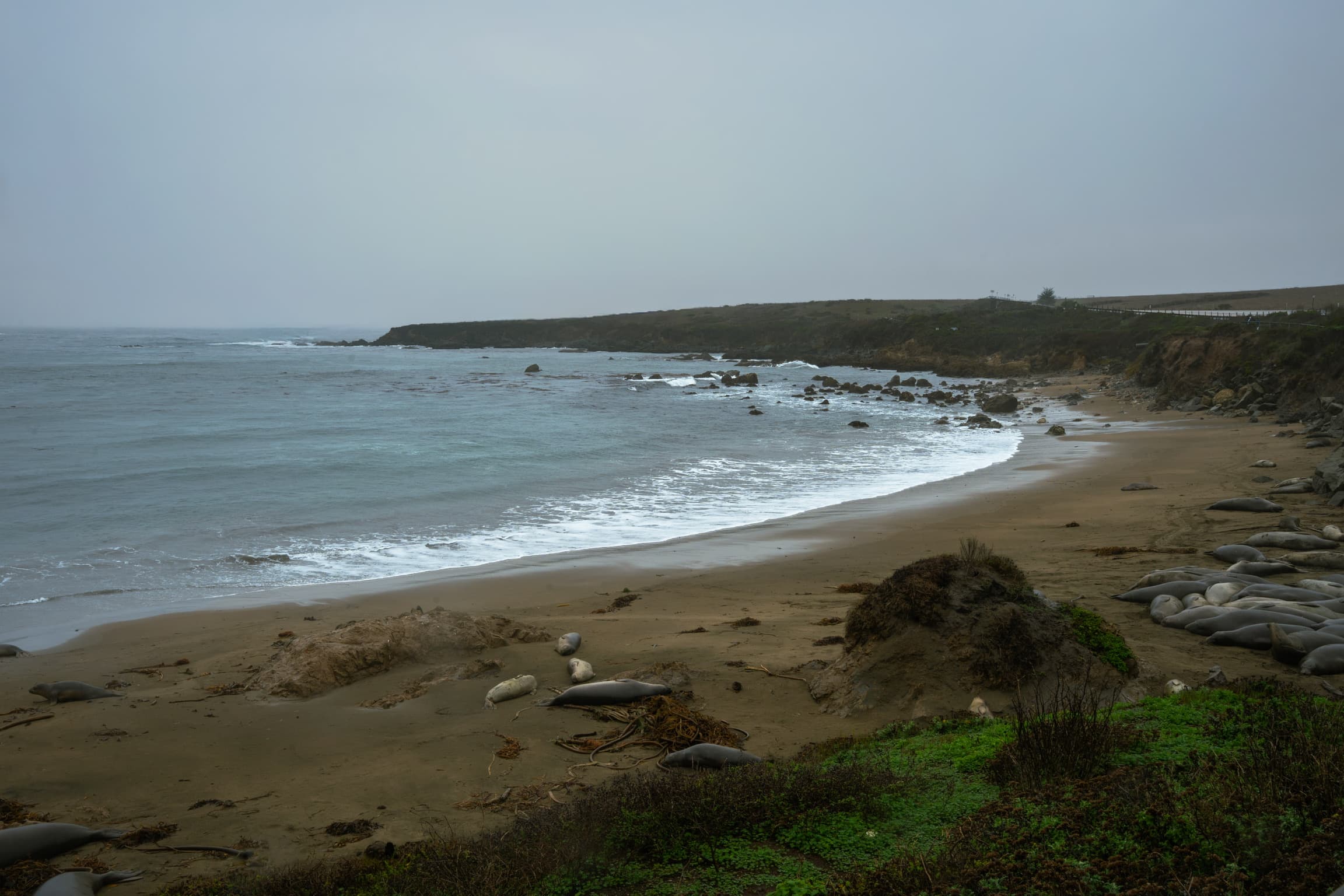 San Simeon Car Camping